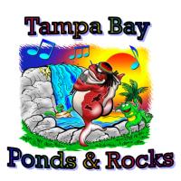 Tampa Bay Ponds & Rocks image 1